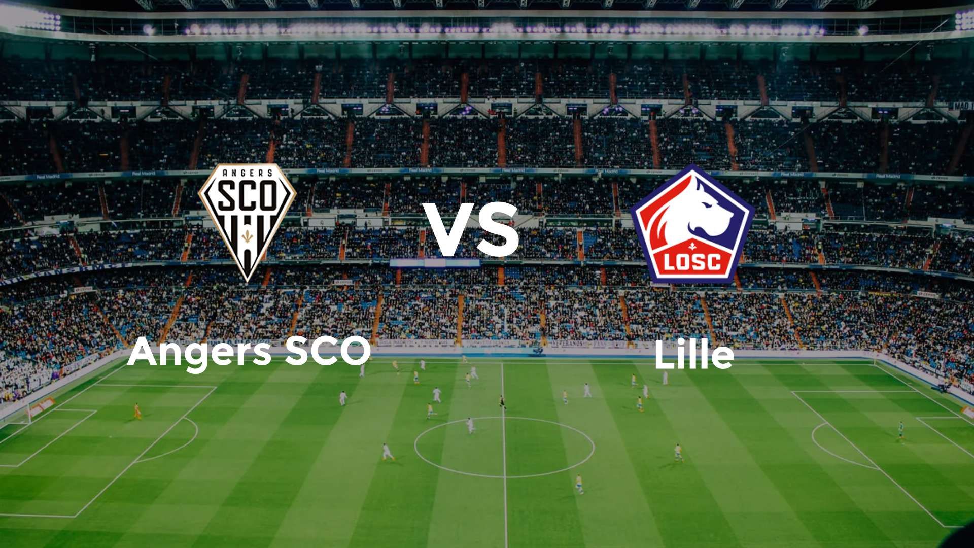 Angers SCO vs LOSC Lille