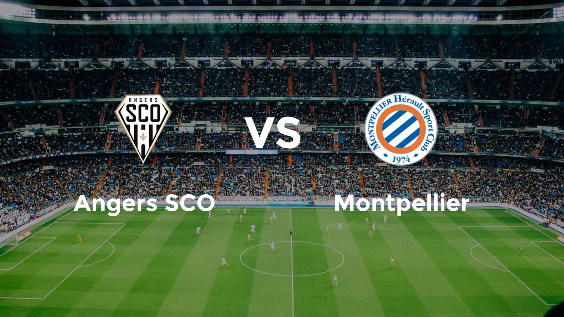 Angers SCO vs Montpellier