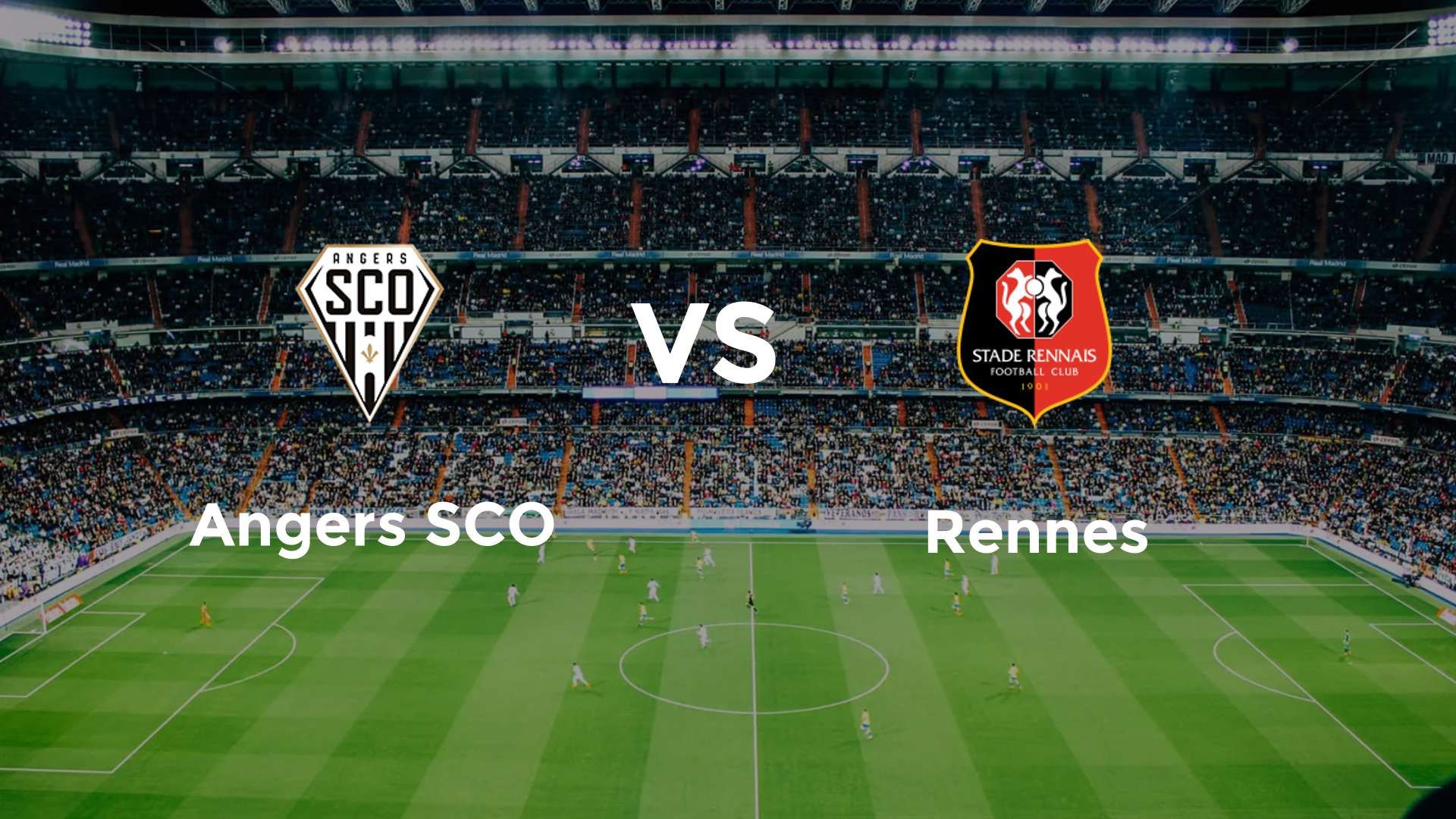Angers SCO vs Rennes