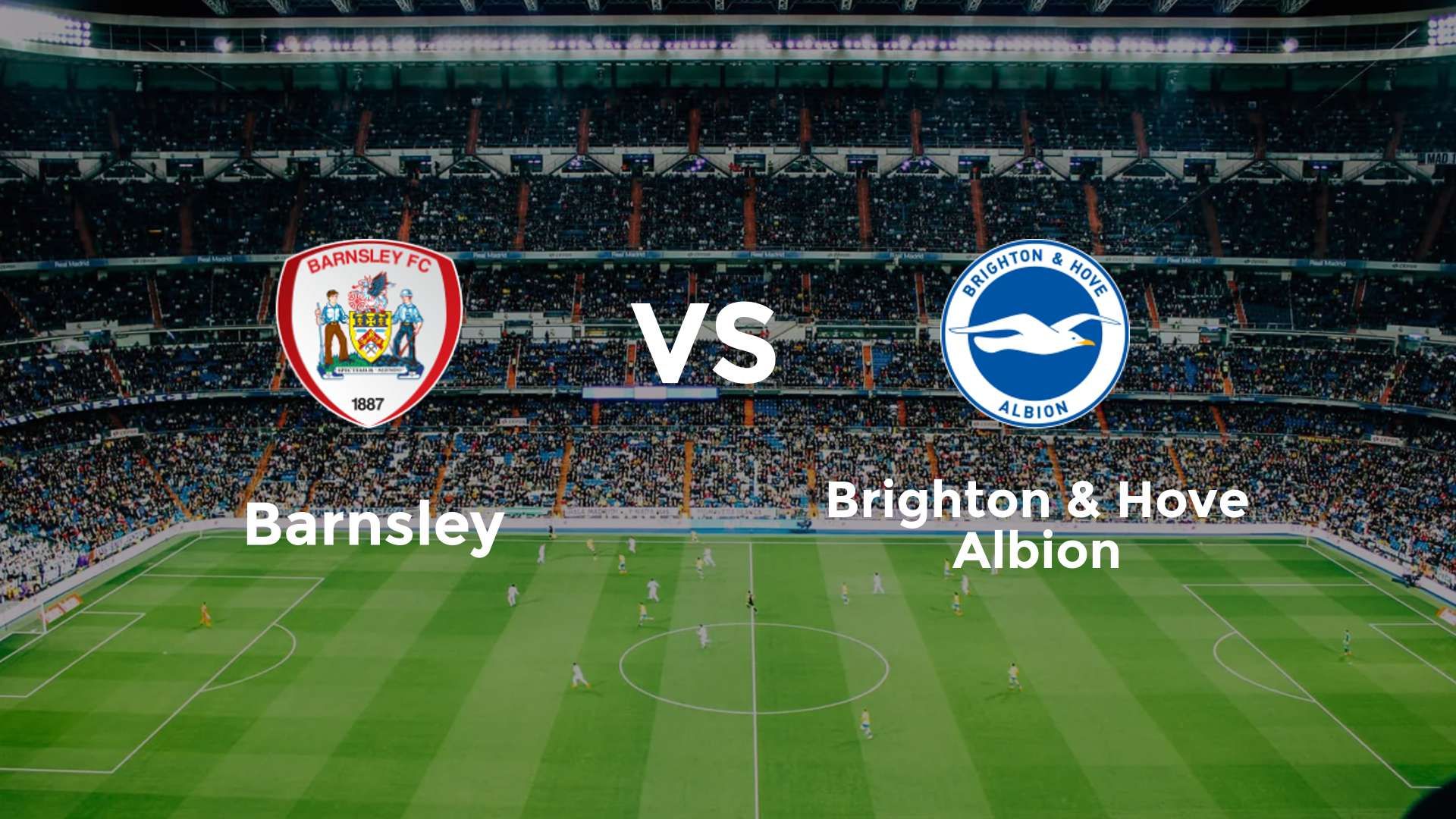 Barnsley vs Brighton & Hove Albion