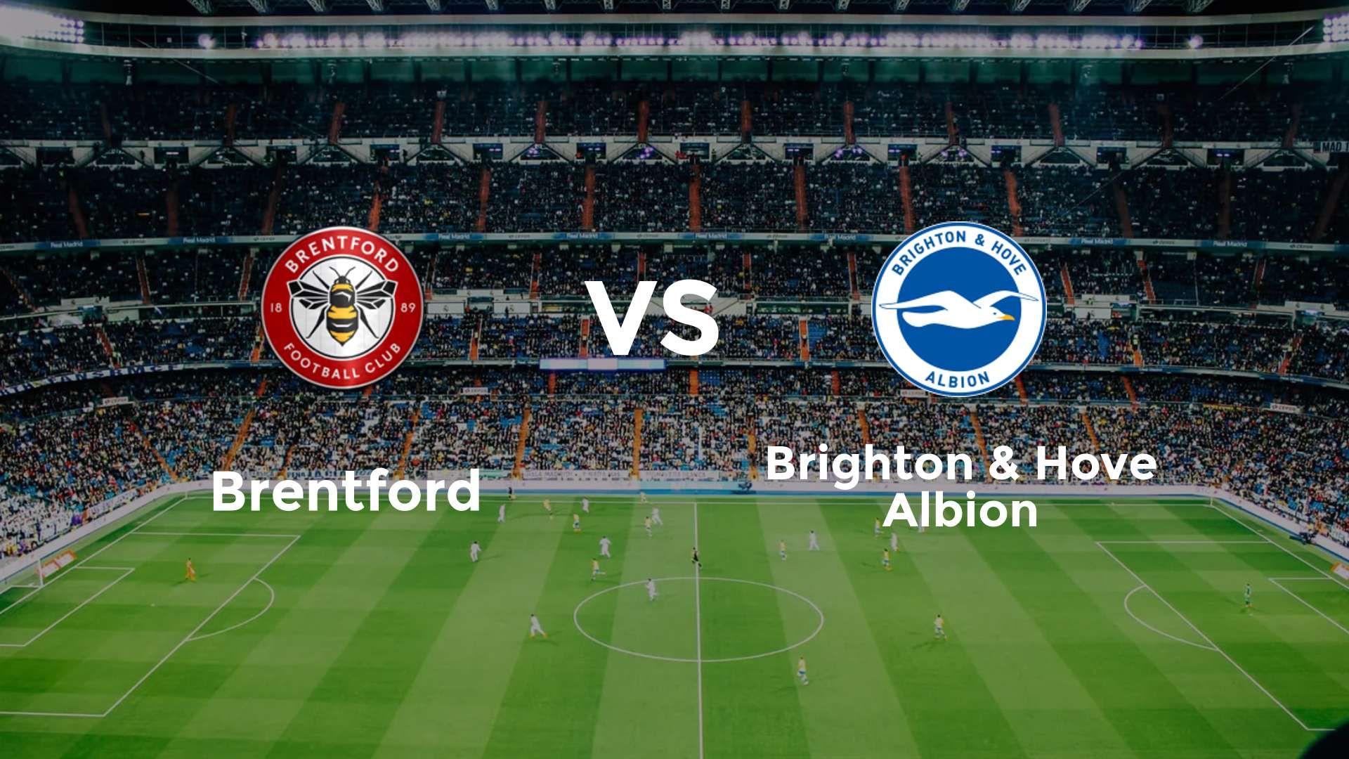 Brentford vs Brighton & Hove Albion