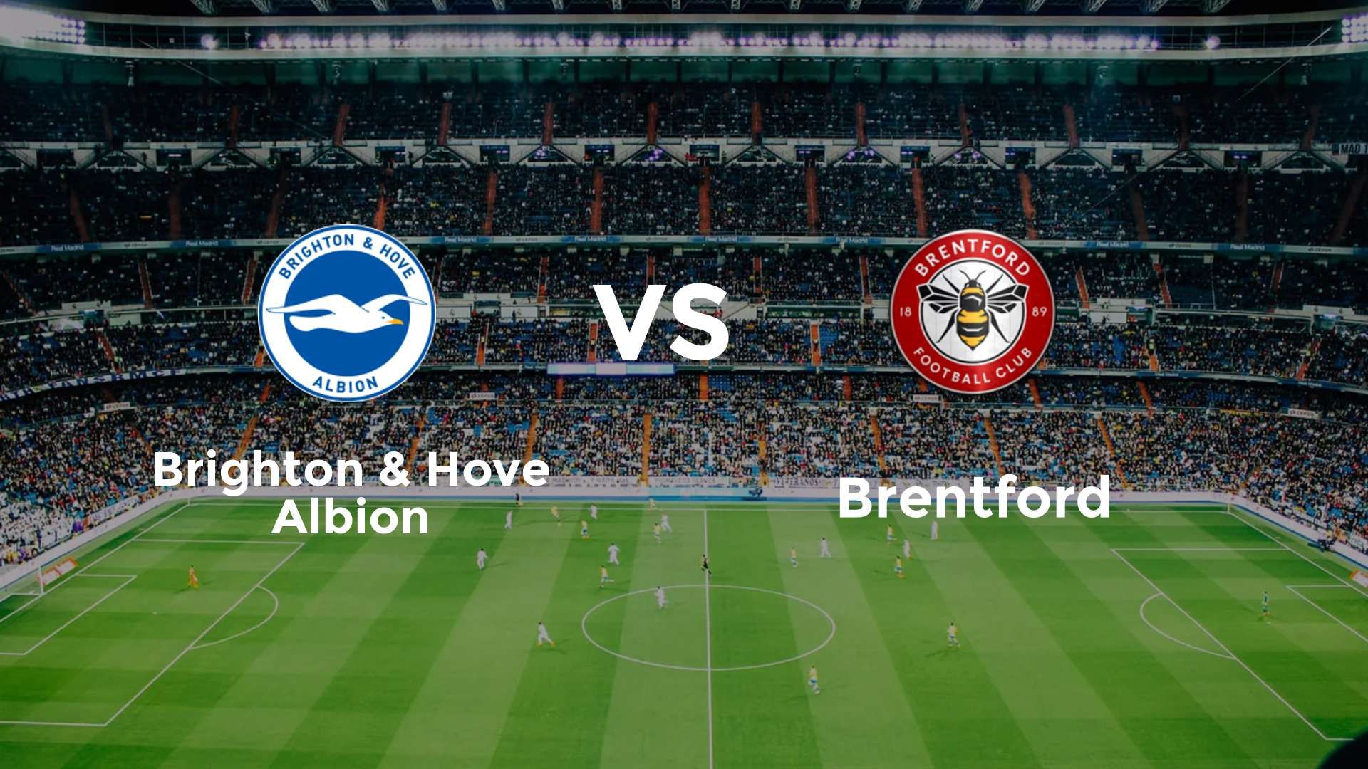 Brighton & Hove Albion vs Brentford