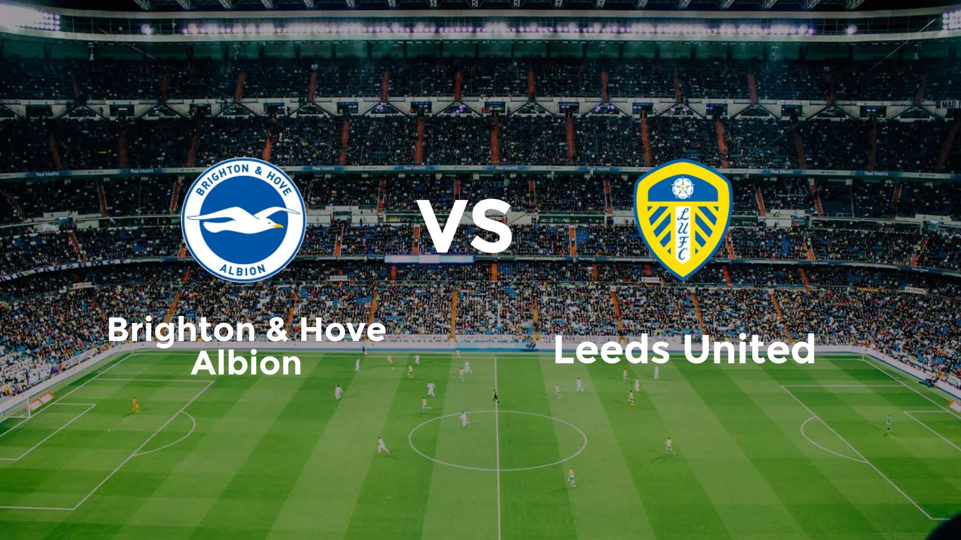 Brighton & Hove Albion vs Leeds United