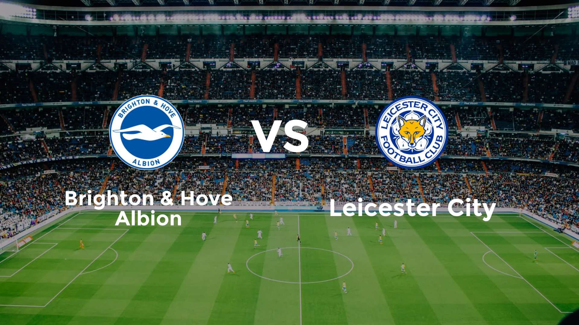 Brighton & Hove Albion vs Leicester City