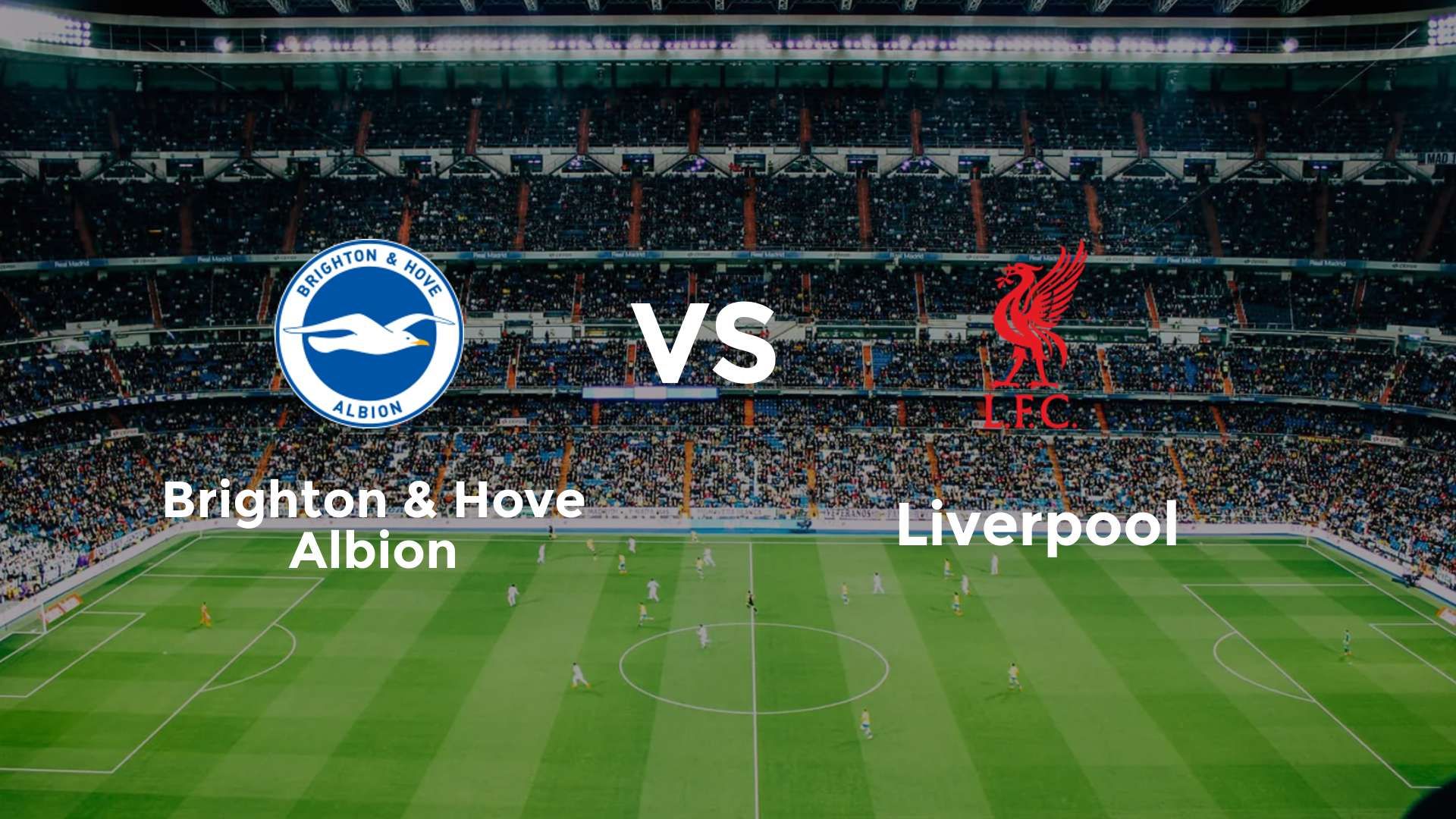 Brighton & Hove Albion vs Liverpool