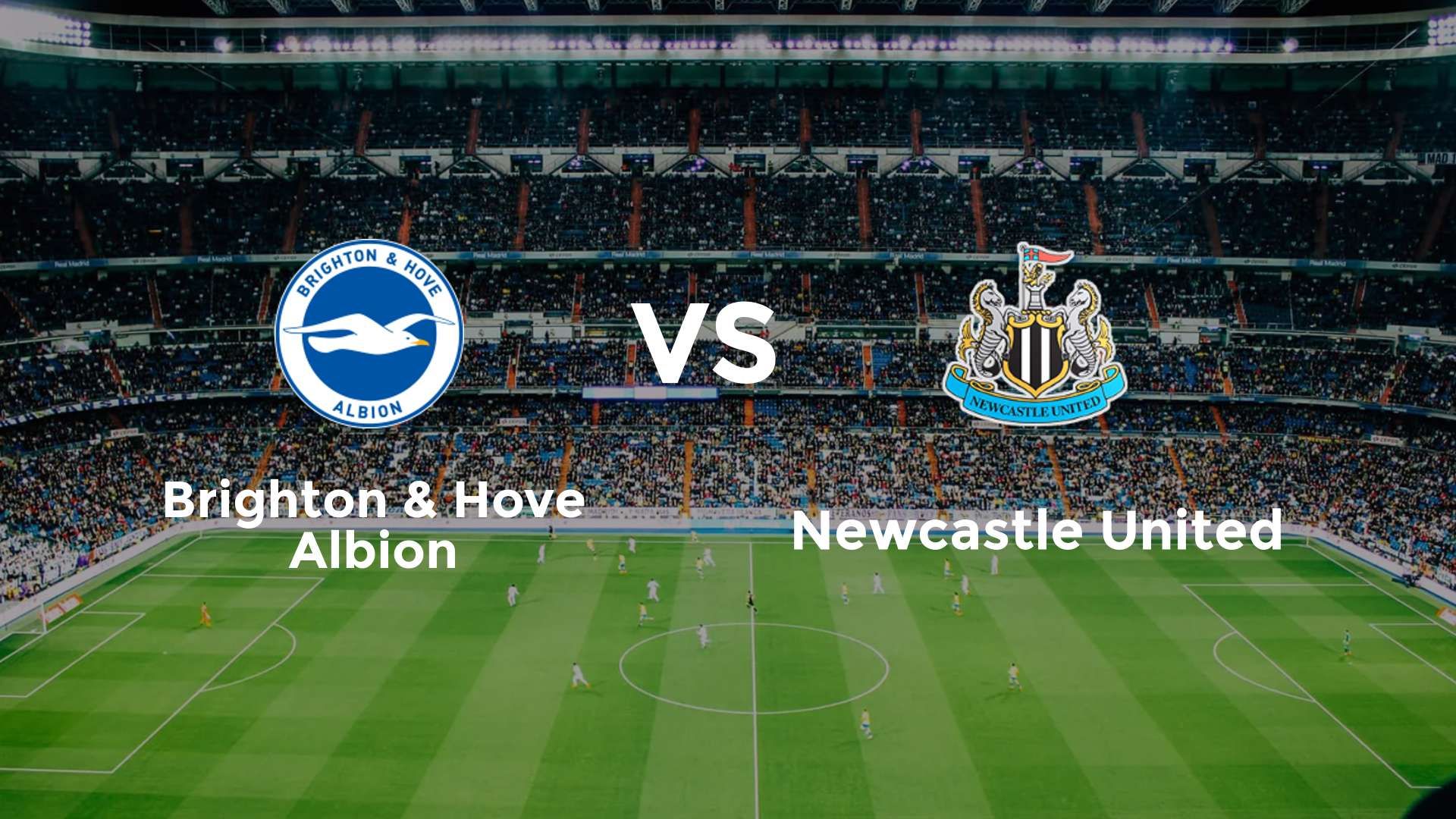 Brighton & Hove Albion vs Newcastle United