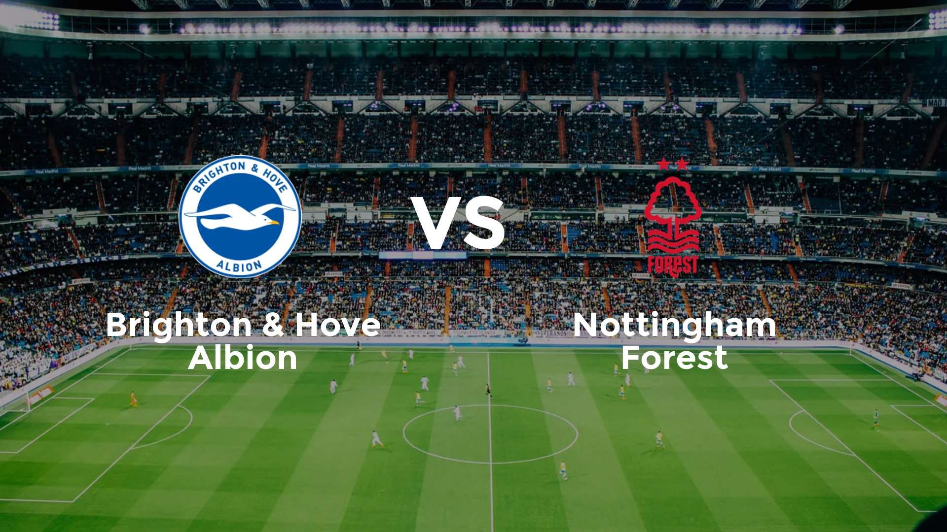 Brighton & Hove Albion vs Nottingham Forest
