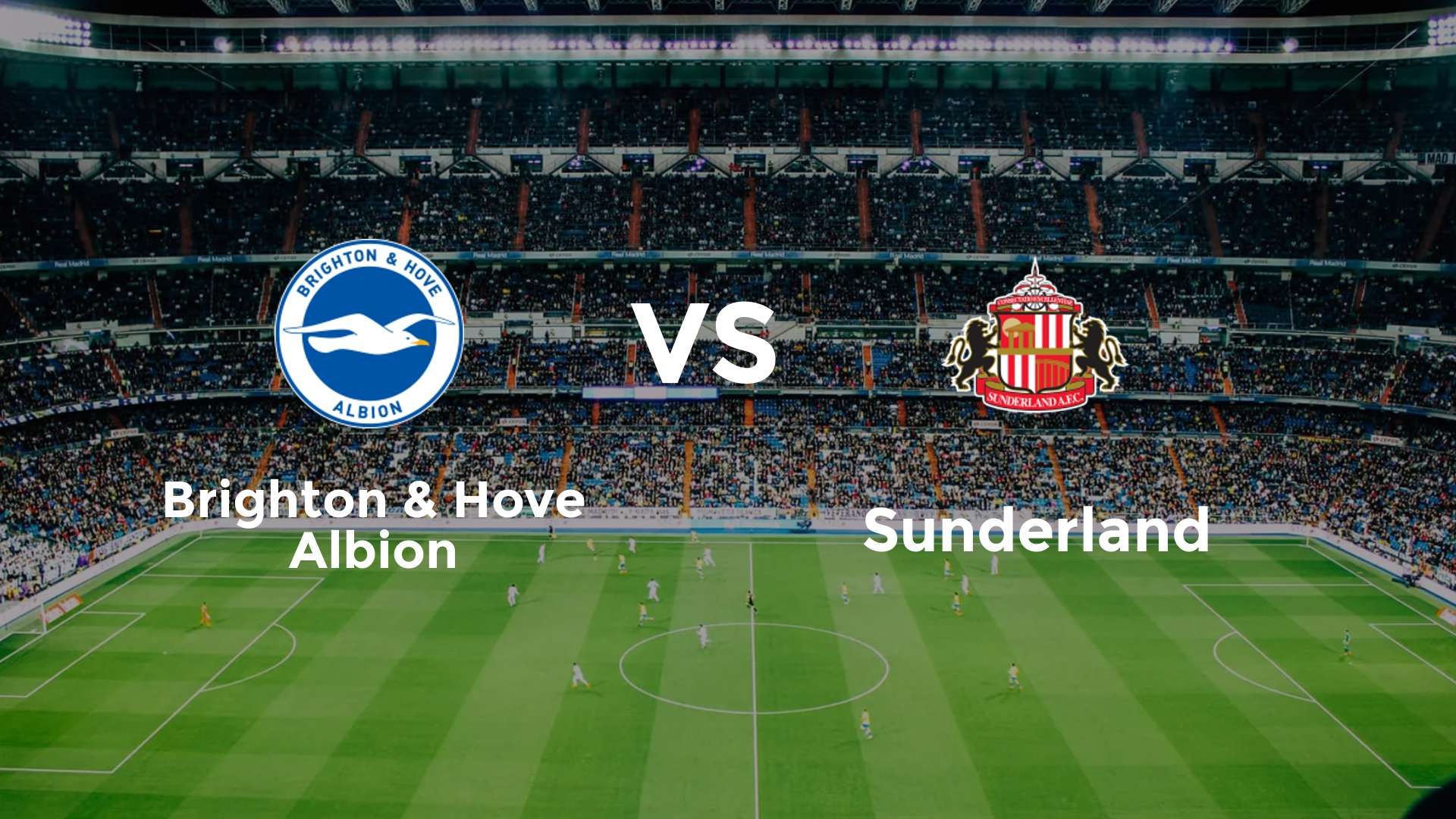 Brighton & Hove Albion vs Sunderland