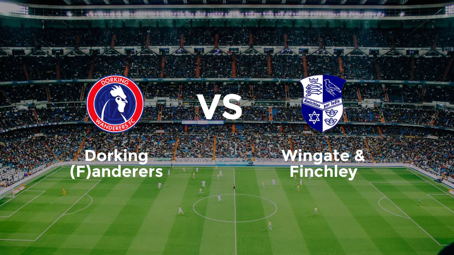 Dorking (F)anderers vs (F)ingate & Finchley