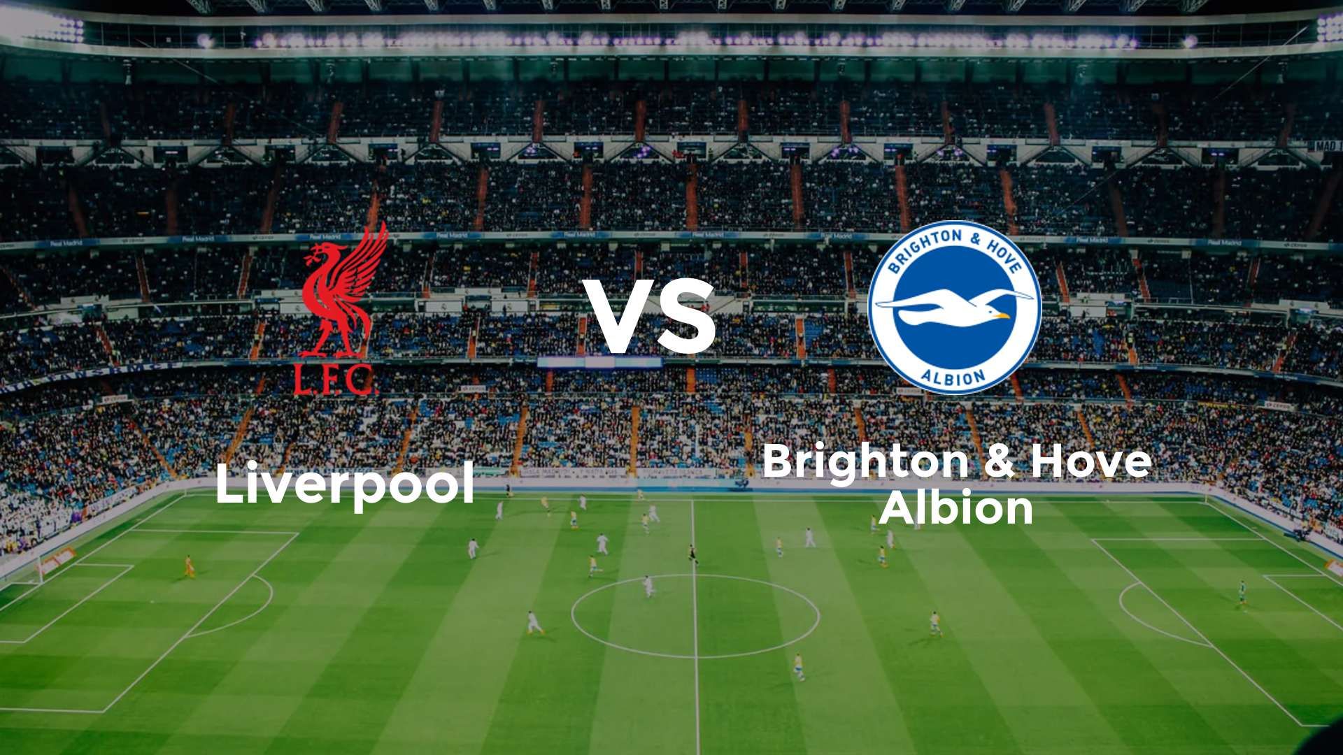 Liverpool vs Brighton & Hove Albion