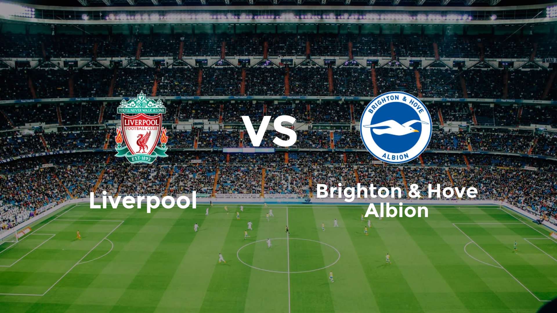 Liverpool vs Brighton & Hove Albion