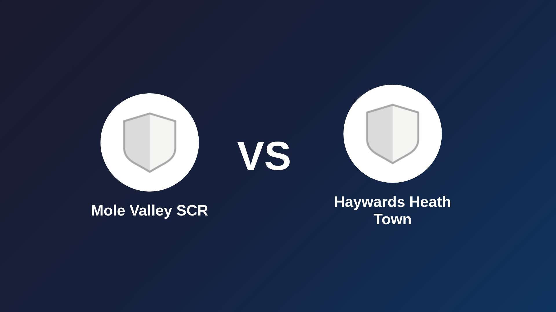 Mole Valley SCR vs Haywards Heath Town