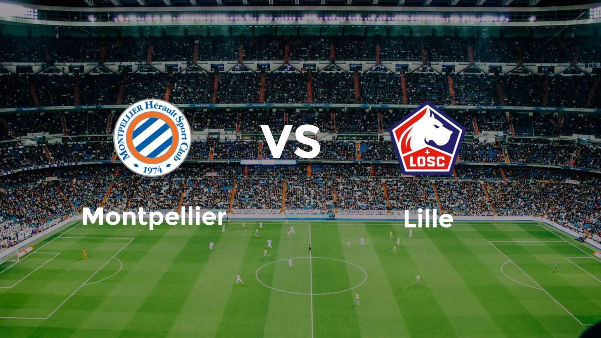 Montpellier vs LOSC Lille
