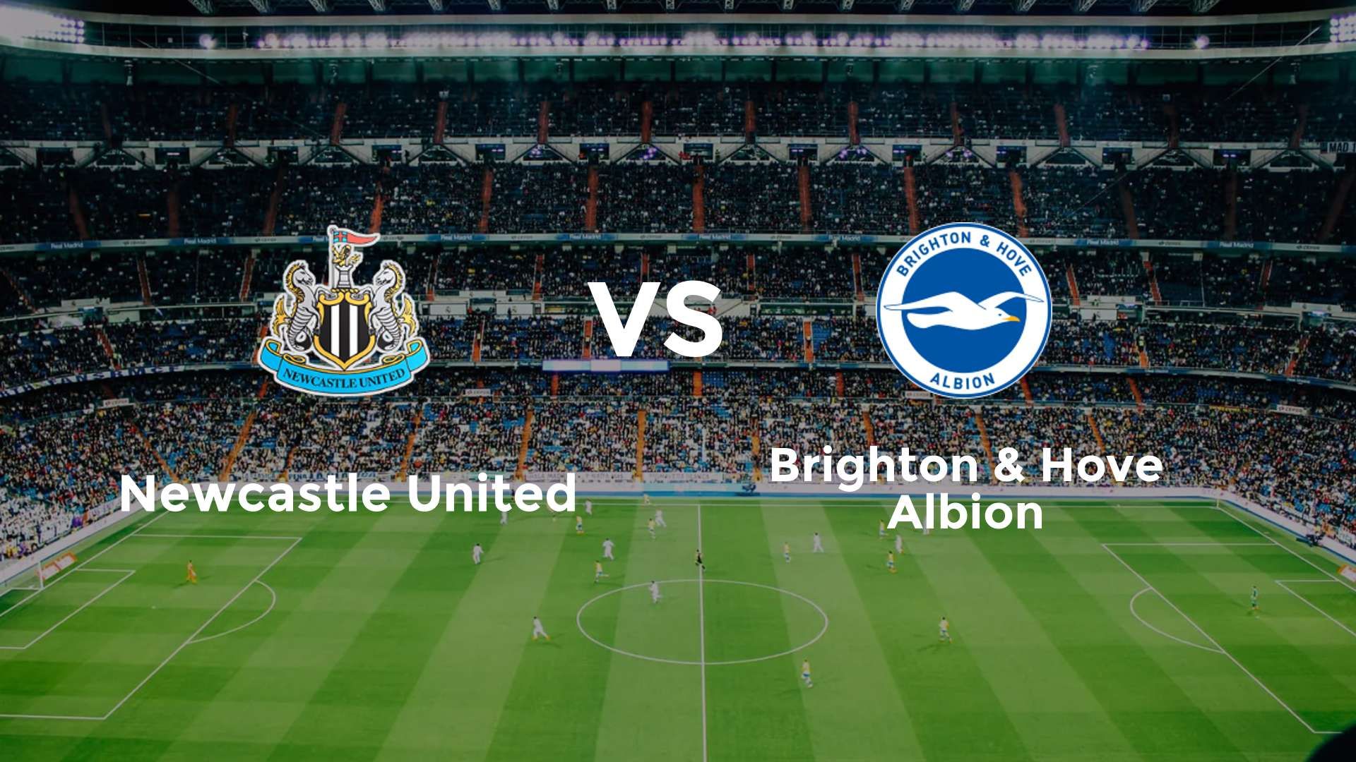 Newcastle United vs Brighton & Hove Albion