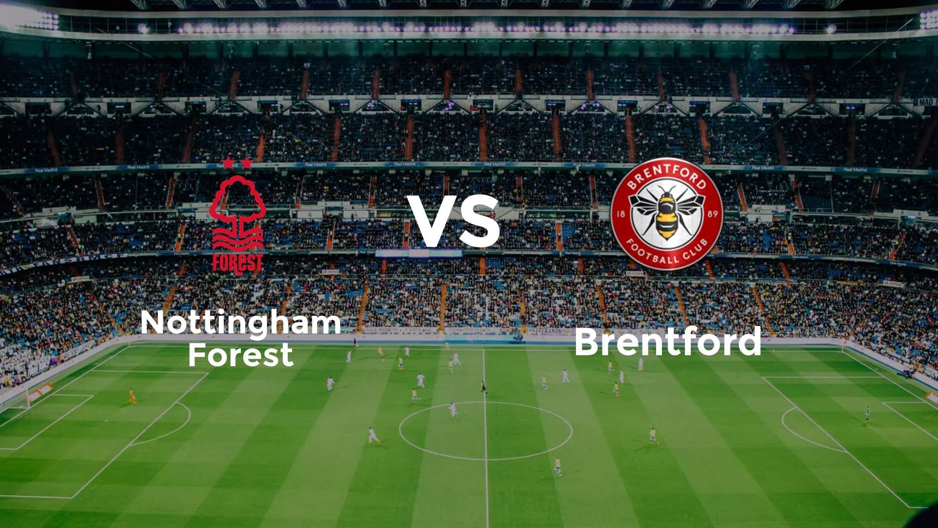 Nottingham Forest vs Brentford