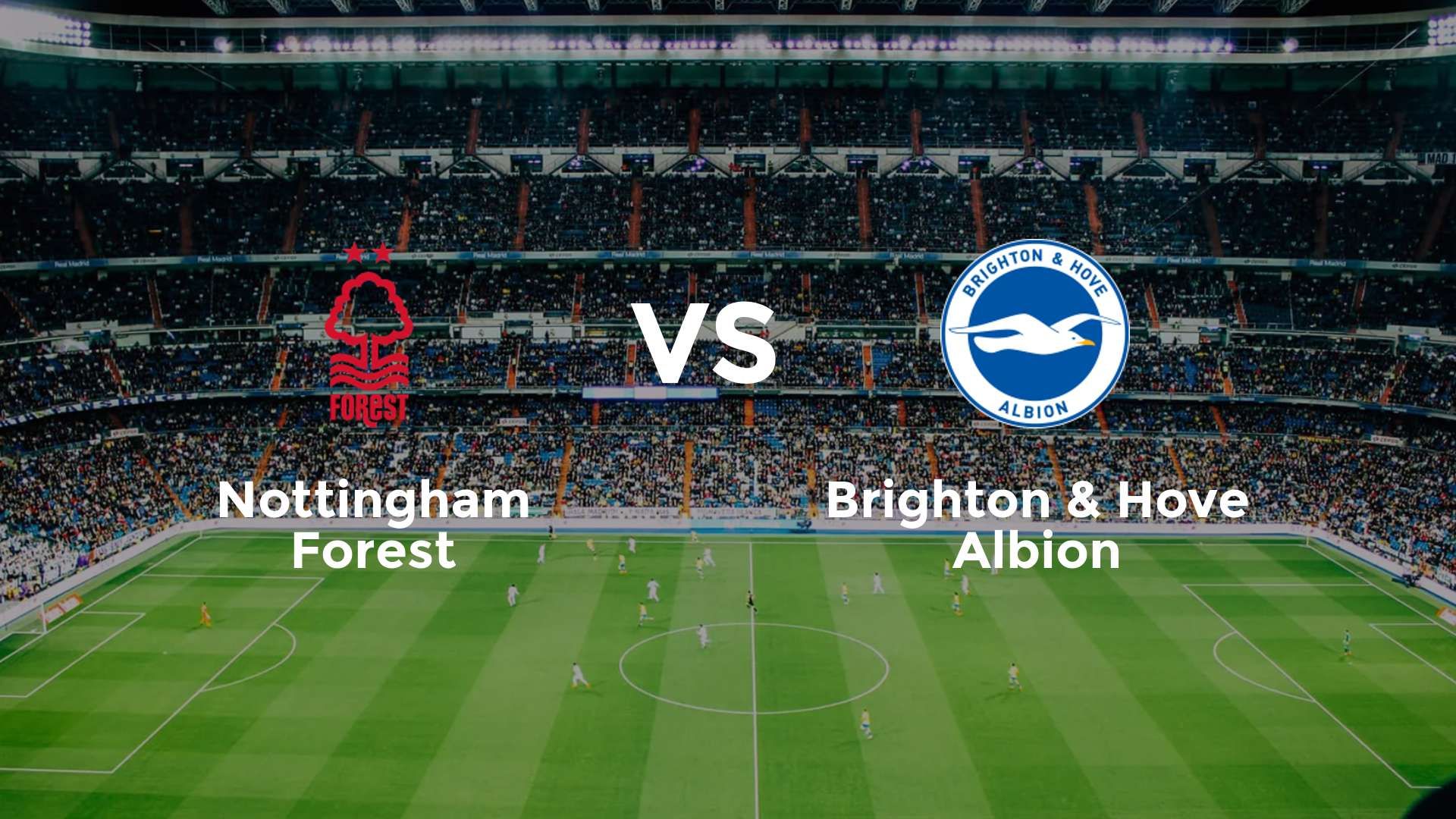 Nottingham Forest vs Brighton & Hove Albion
