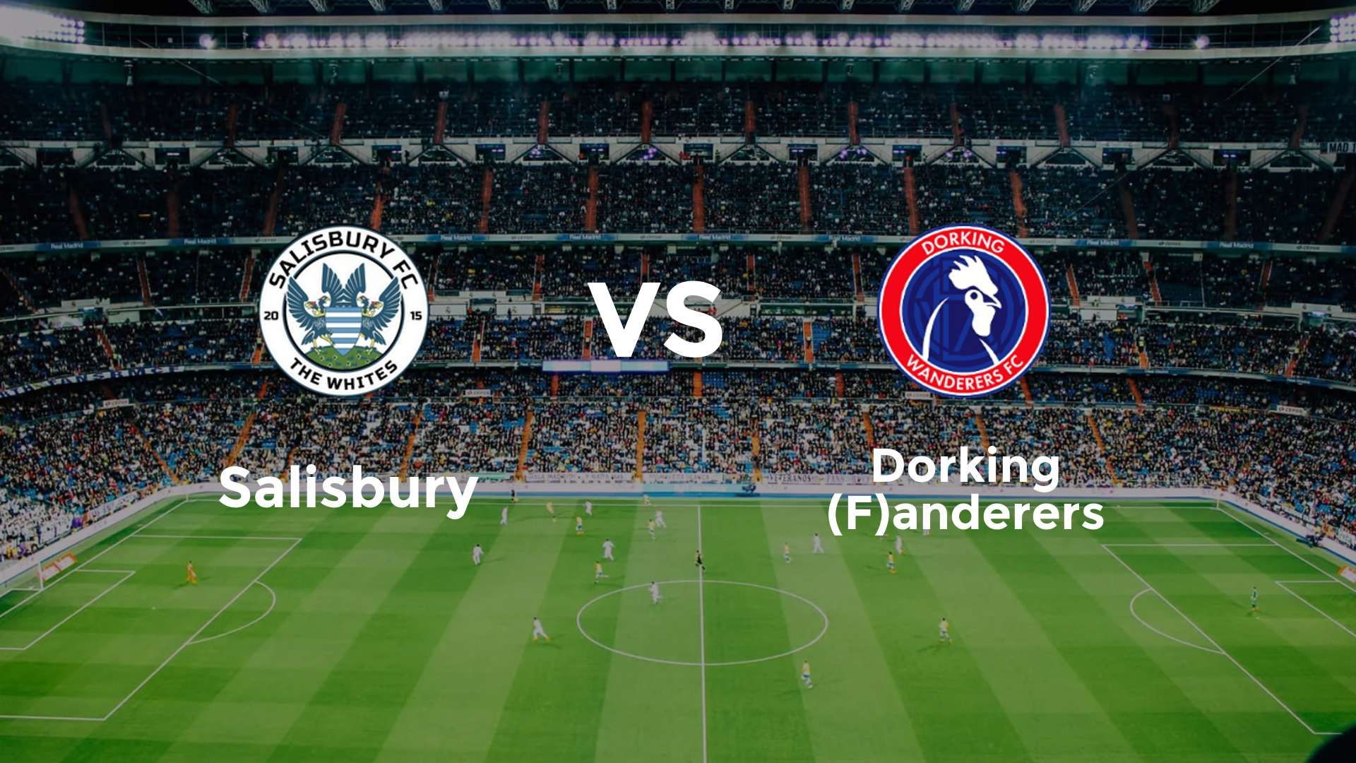 Salisbury vs Dorking (F)anderers