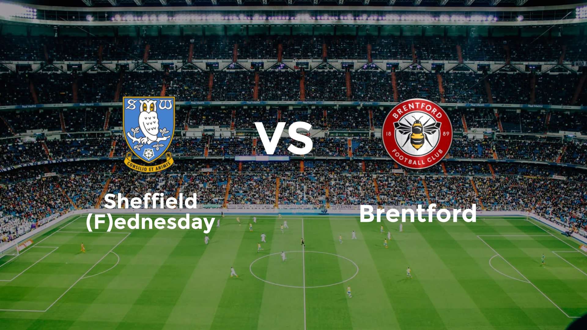 Sheffield (F)ednesday vs Brentford