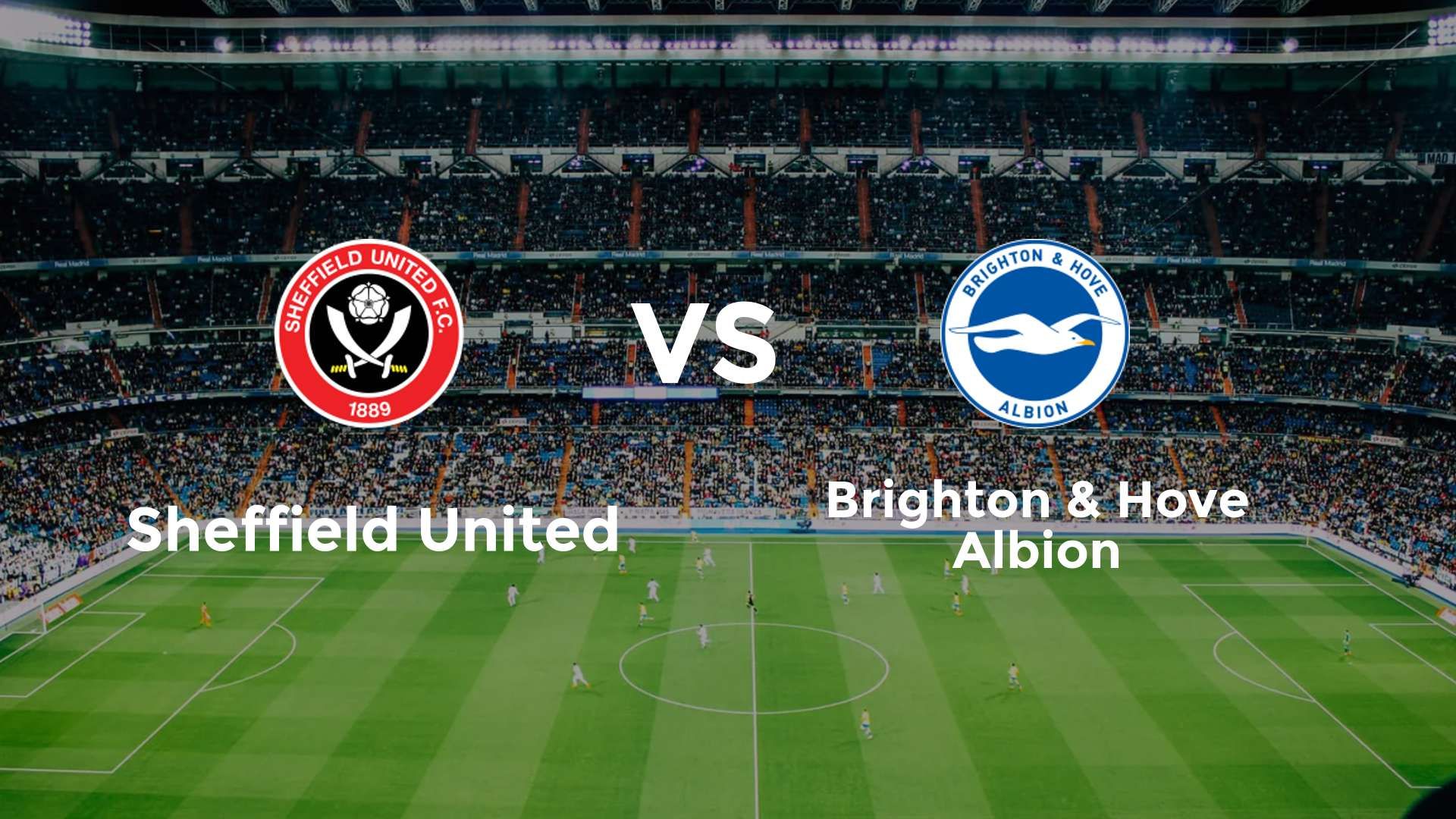 Sheffield United vs Brighton & Hove Albion