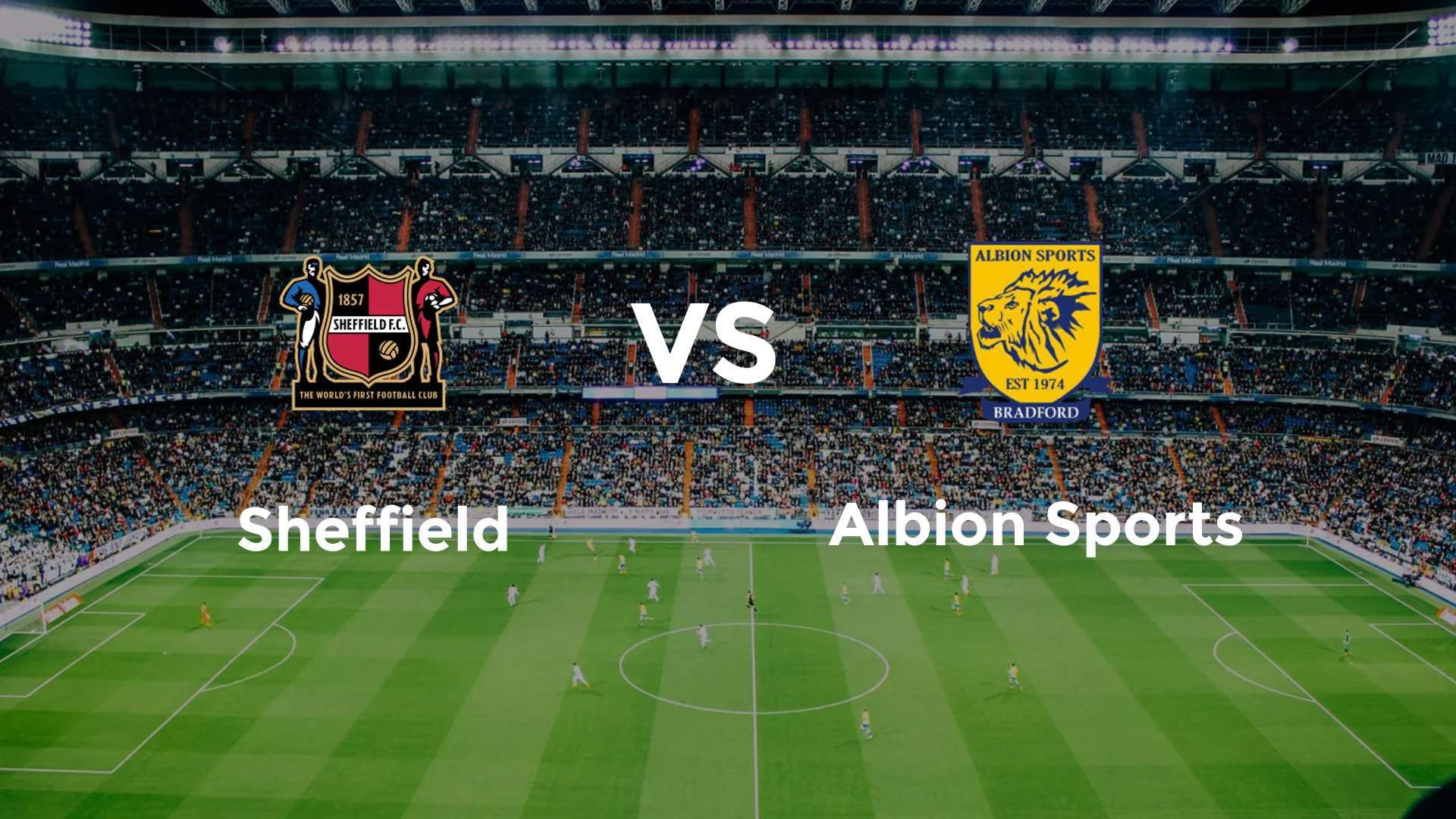 Sheffield vs Albion Sports