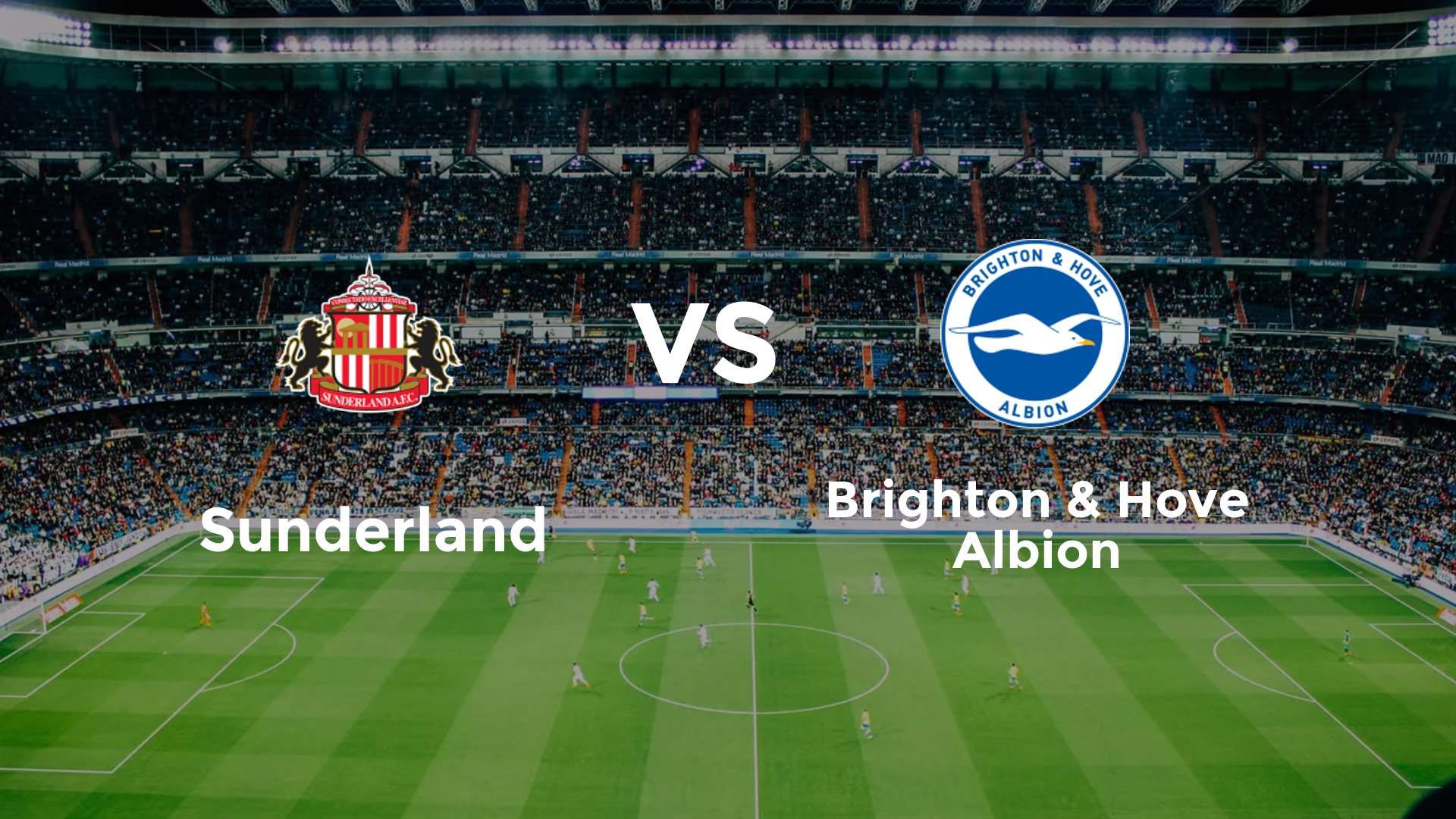 Sunderland vs Brighton & Hove Albion