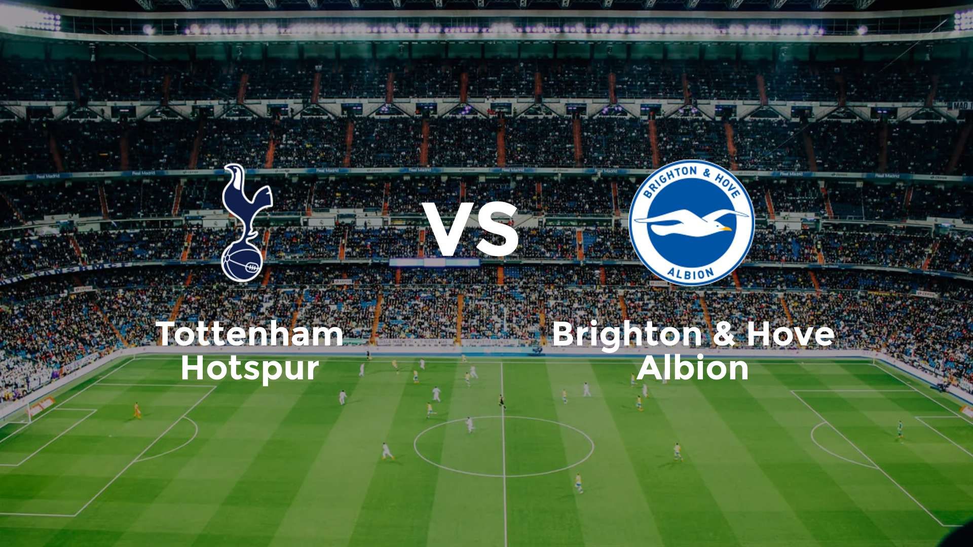 Tottenham Hotspur vs Brighton & Hove Albion
