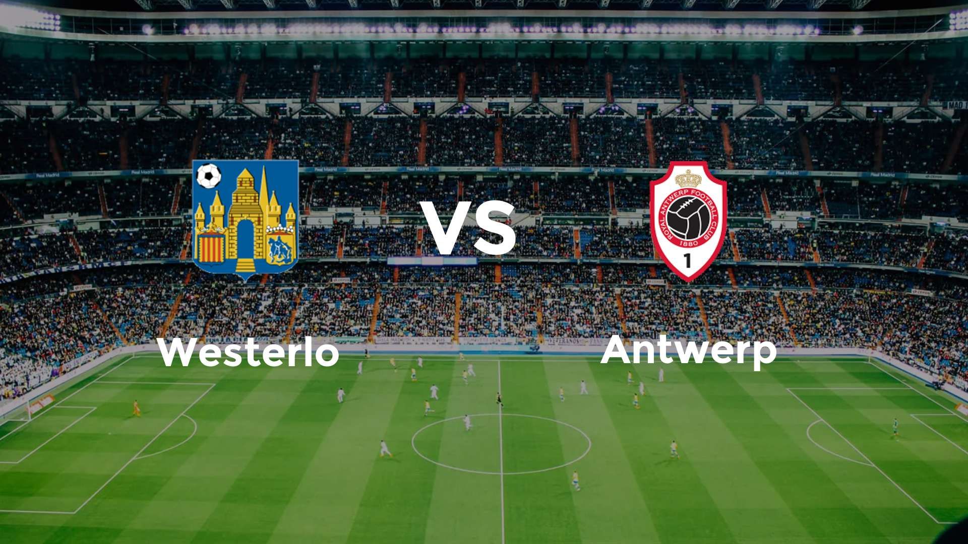 Westerlo vs Antwerp