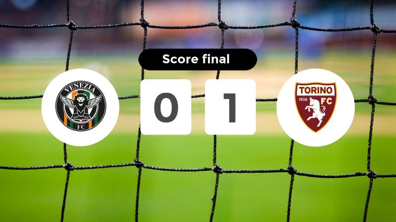 Résumé du match Venezia vs Torino du 30 août 2024