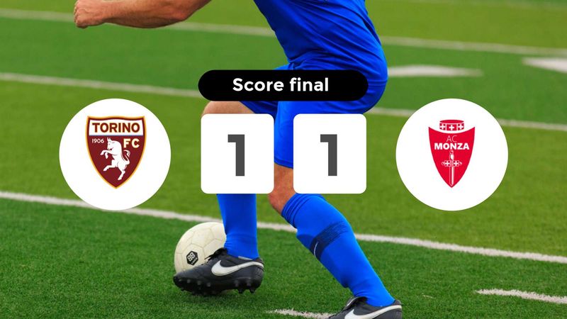 Résumé du match Torino vs Monza du 24 novembre 2024