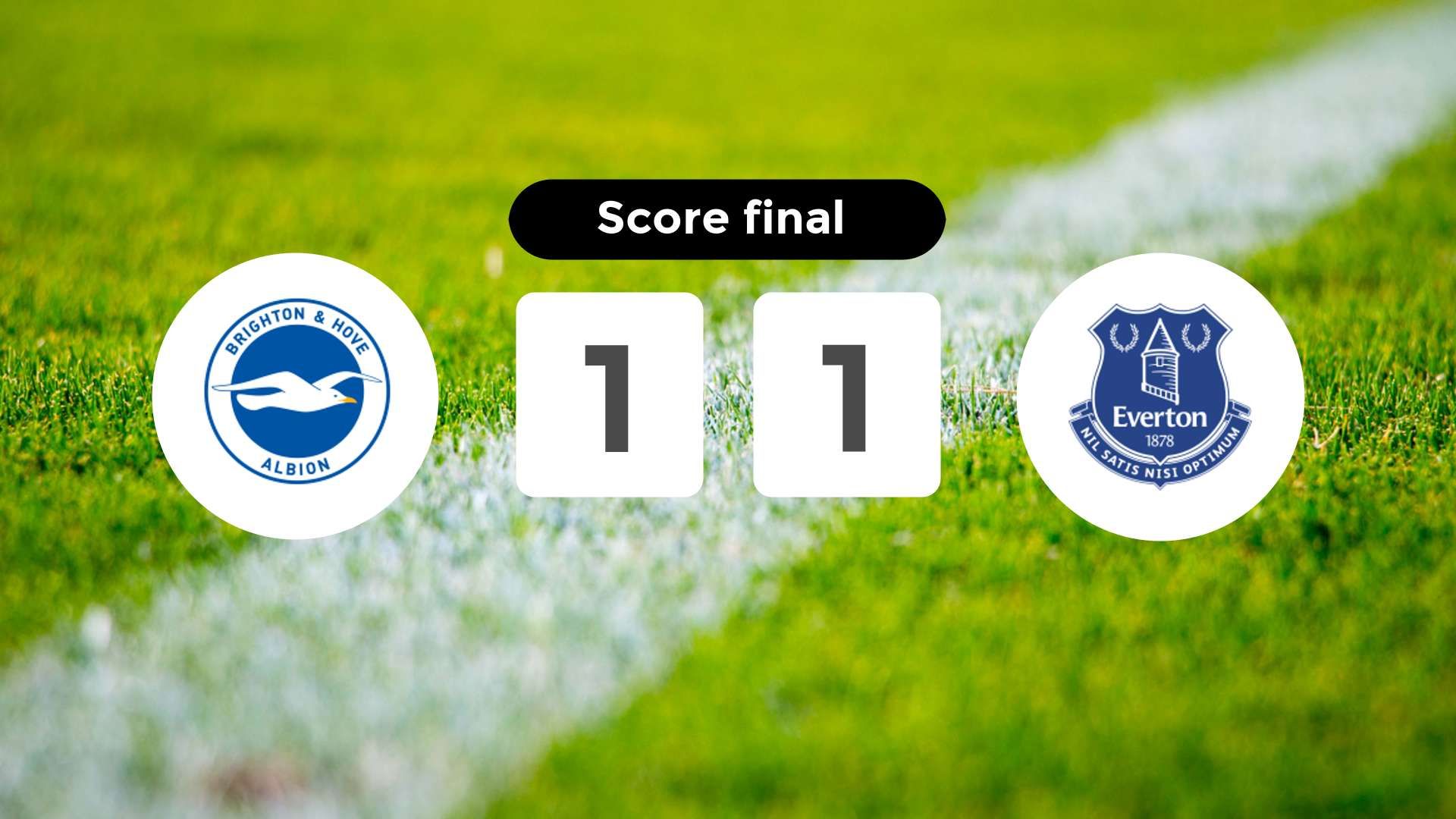 Résumé du match Brighton & Hove Albion vs Everton du 31 janvier 2026