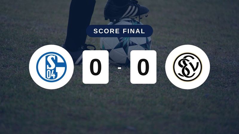 Résumé du match Schalke 04 vs Elversberg du 20 septembre 2026