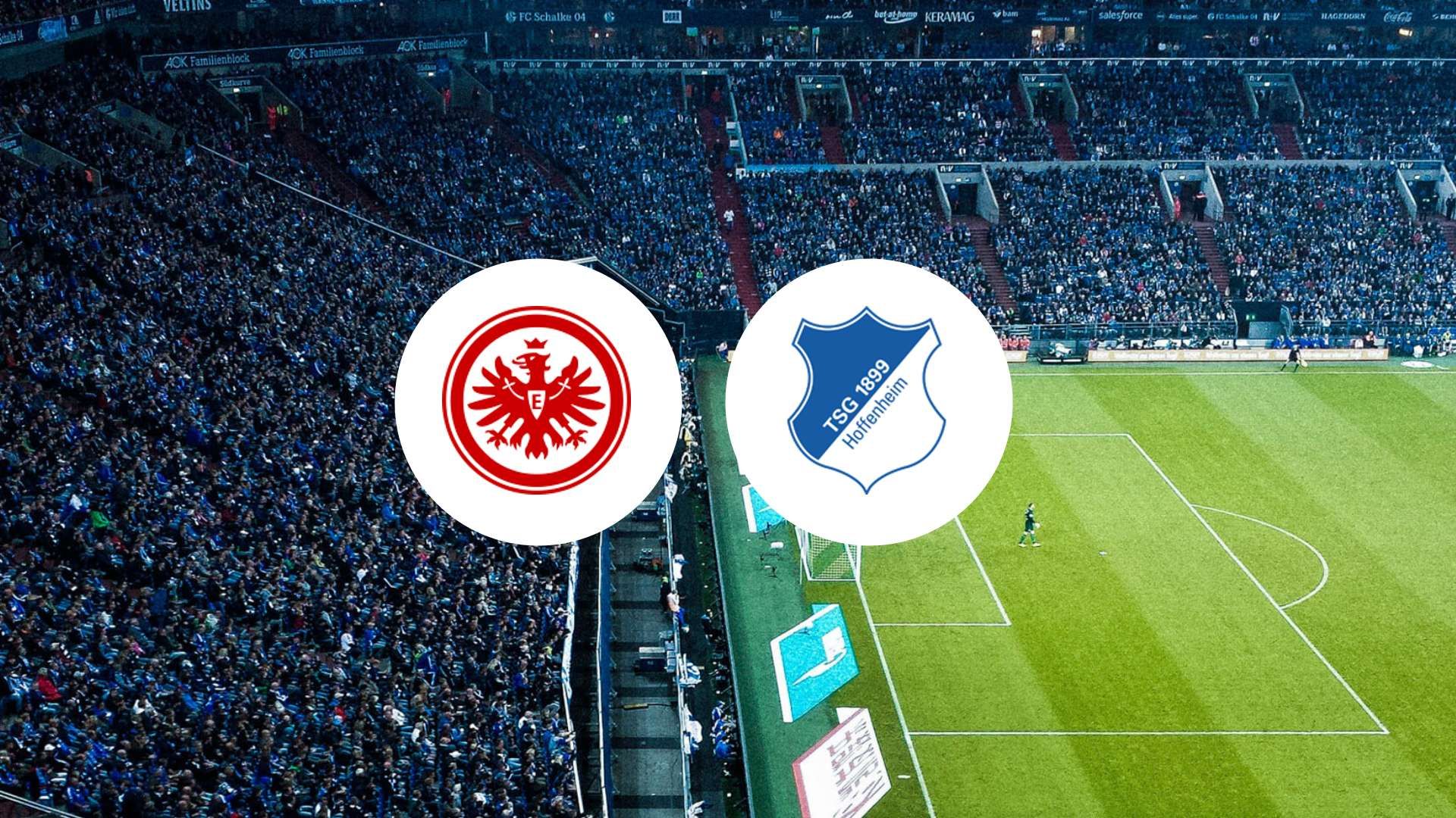 L'entraîneur d'Hoffenheim annonce la couleur avant le choc contre Francfort !
