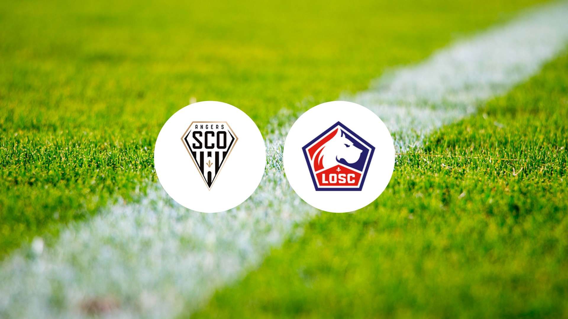 Lille de retour dans la course à l'Europe : Angers en ligne de mire !
