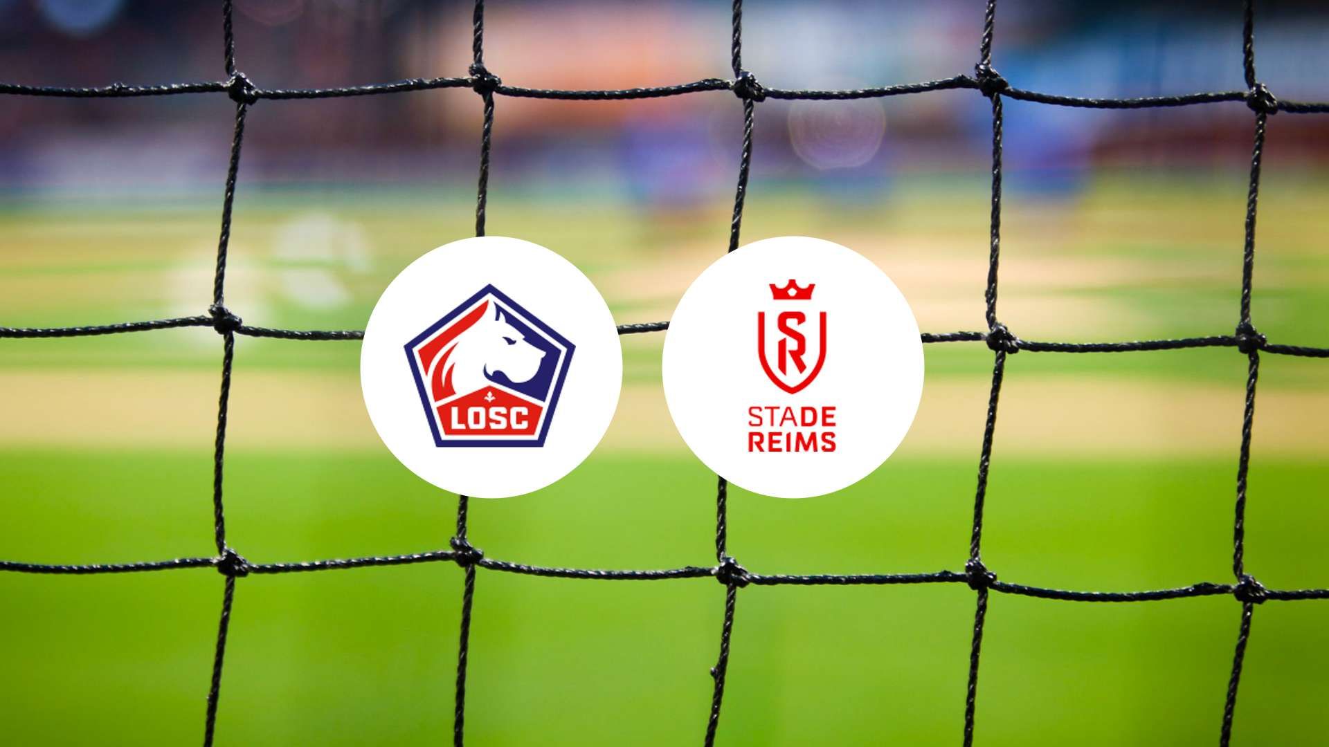 Lille vise le top 4 tandis que Reims lutte pour sa survie !