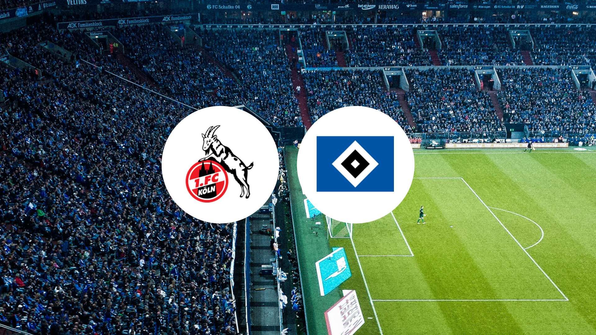 Les Billy Goats prêts à en découdre avec le Hamburger SV ce week-end ?