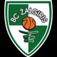 Kauno Žalgiris