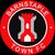 Barnstaple Town