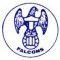 Logo Toronto Falcons