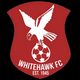 Whitehawk