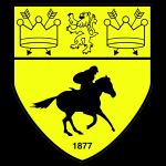 Logo Newmarket Town