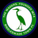 Logo Biggleswade Town