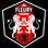 Logo Fleury 91