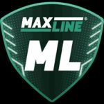 Logo ML Vitebsk