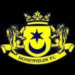 Logo Moneyfields