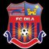 Logo Dila