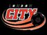 Hamilton City