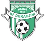 Logo Dukagjini