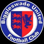 Logo Biggleswade United FC