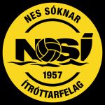 Logo NSÍ