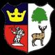 Cinderford Town